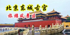 骚妇水晶骑坐视频在线中国北京-东城古宫旅游风景区